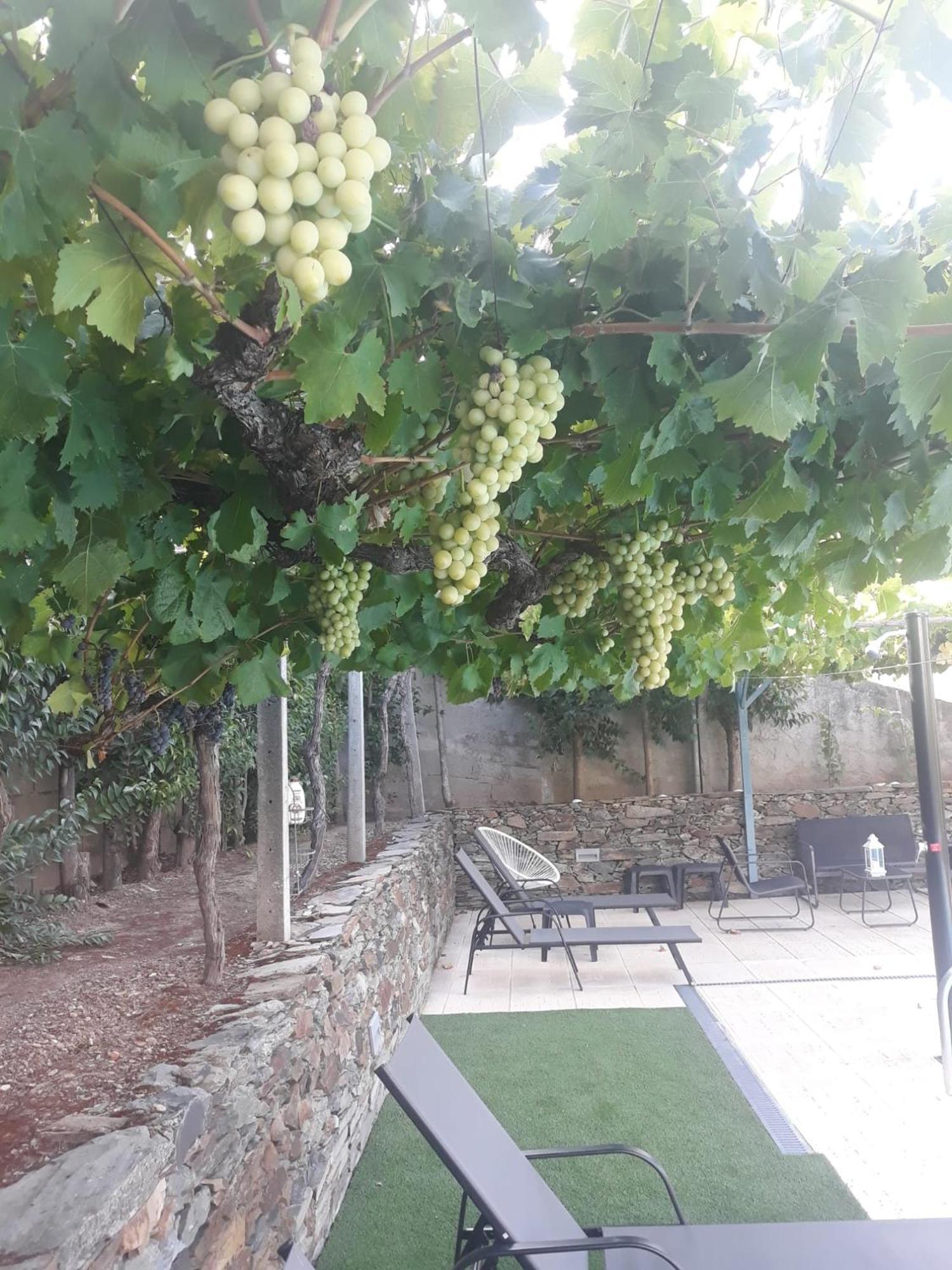 Casa Das Laranjeiras Pinhão Εξωτερικό φωτογραφία